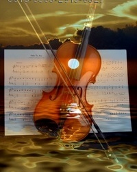 Violin